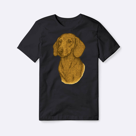 Dachshund