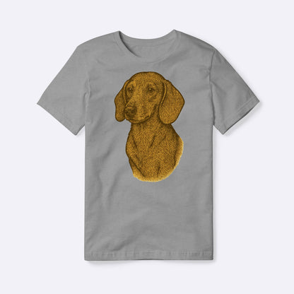 Dachshund